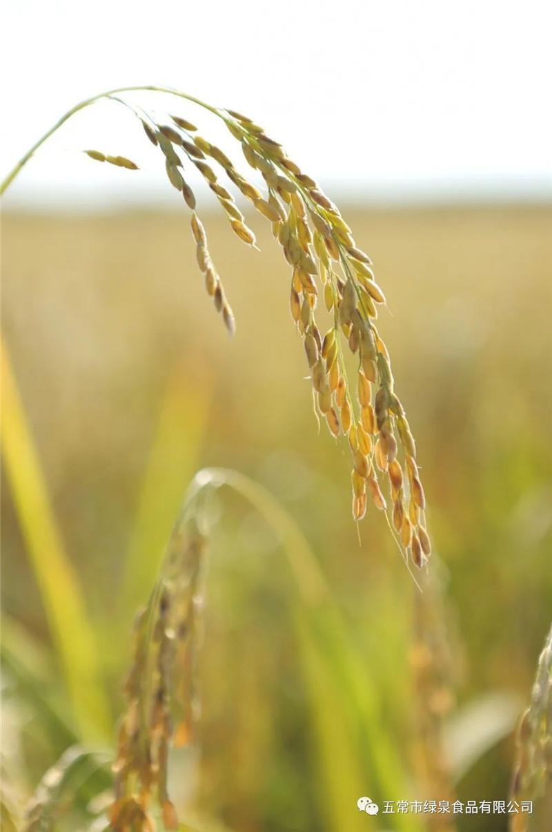 1665967246493414.jpg 640 (2).jpg